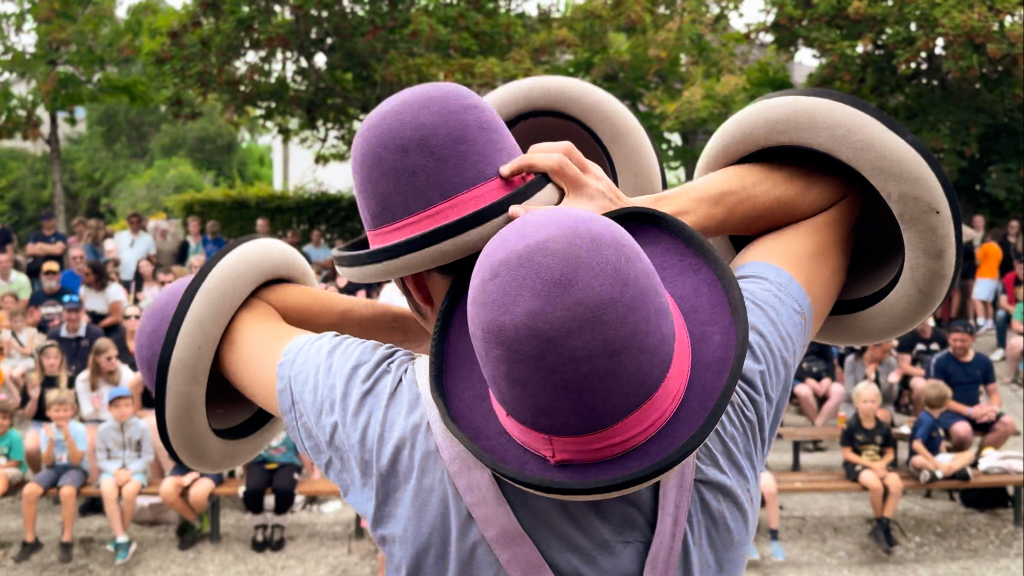 spectacles de cirque