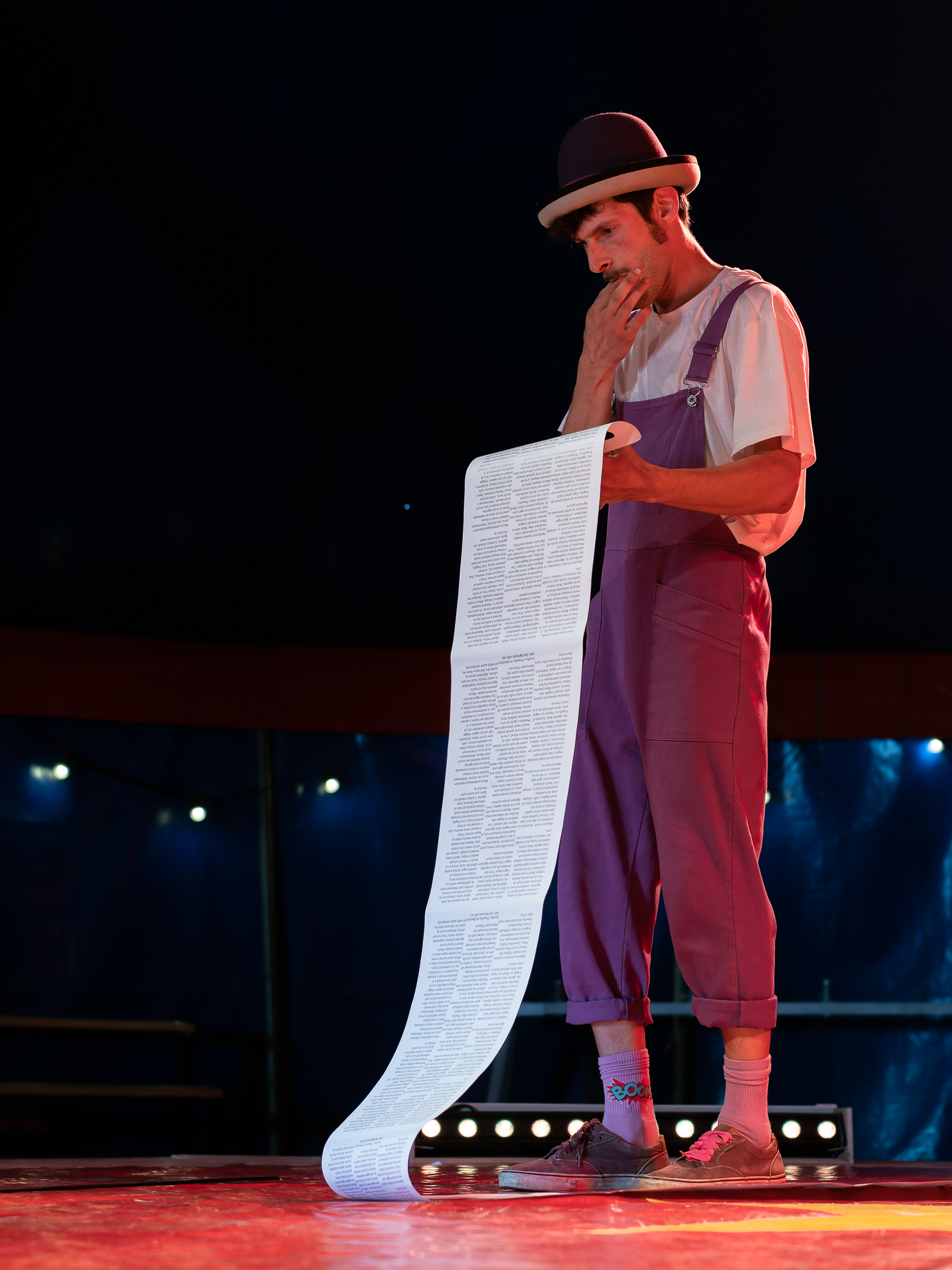 spectacles de cirque